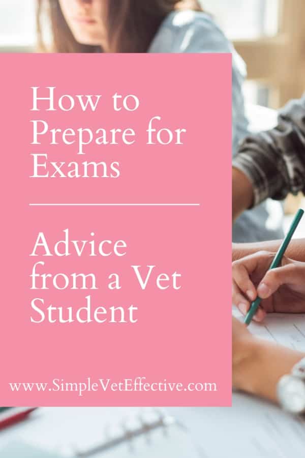 How To Prepare For Exams - Advice From A Veterinary Student - Simple ...